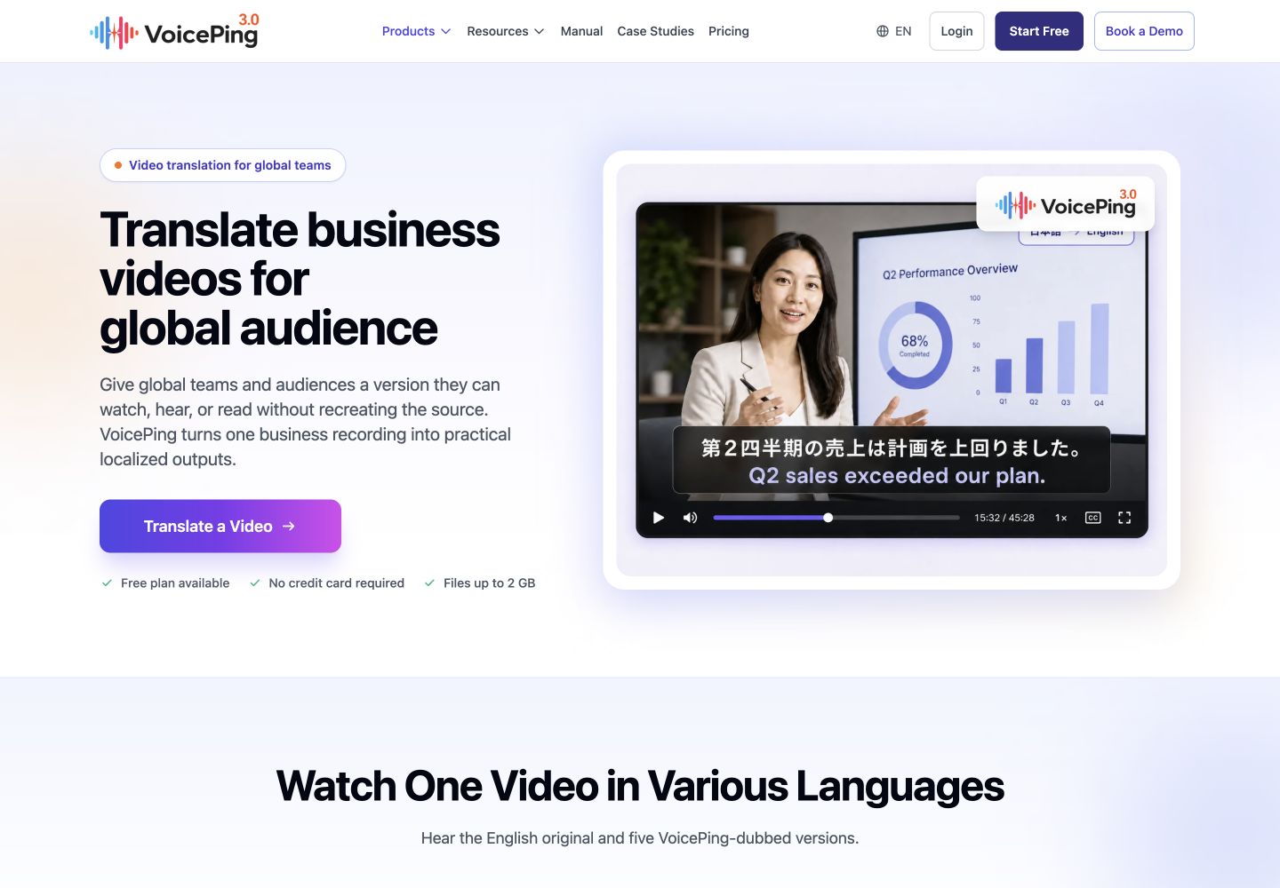 VoicePing video translation: public reference page