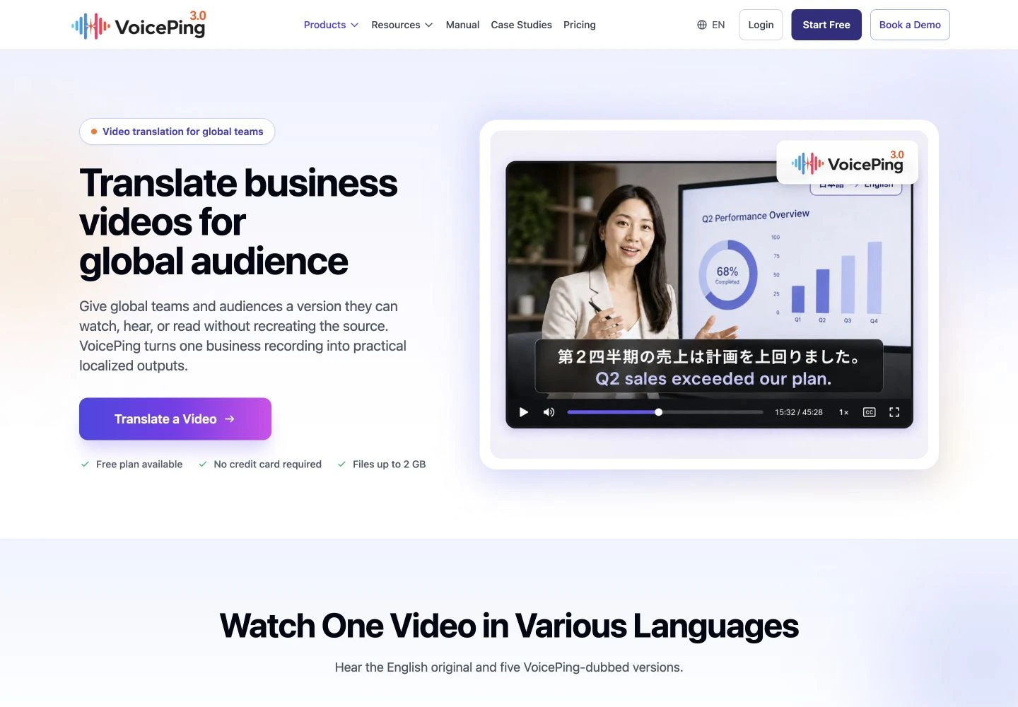 VoicePing file translation outputs: public reference page