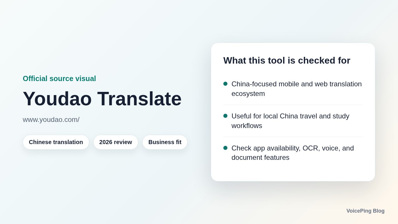 Youdao Translate source visual