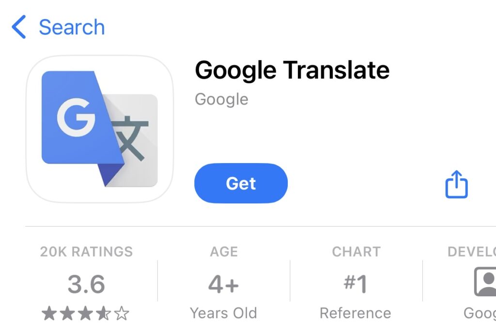 Google Translate voice translation
